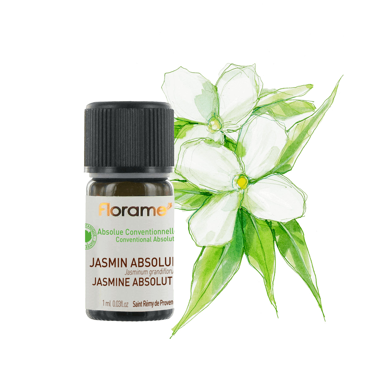 Jasmine Absolute Conventional