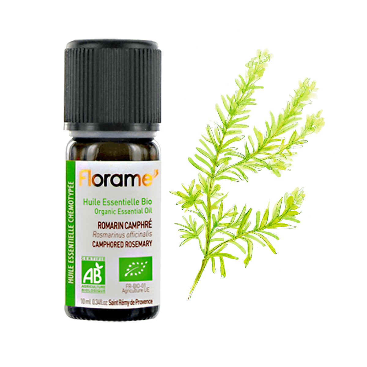 Camphorated Rosemary Organic Essential Oil