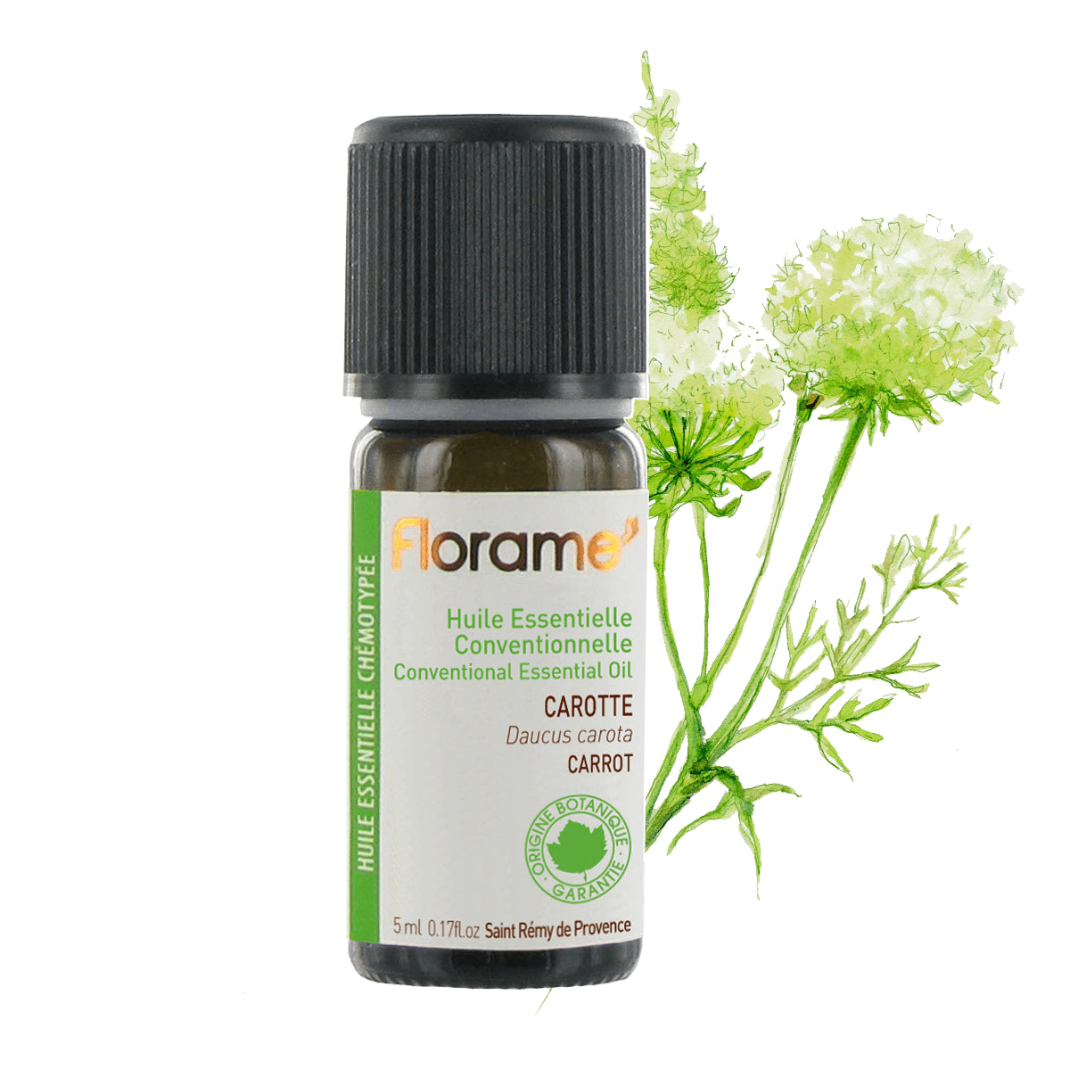 Conventionnal Carrot Seed Essential Oil